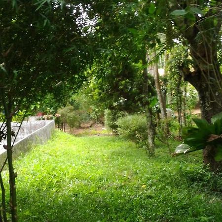 Philip Mary Farm Stay Thekkady Exteriér fotografie