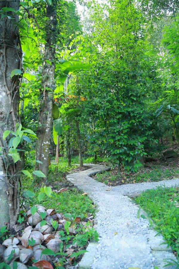 Philip Mary Farm Stay Thekkady Exteriér fotografie