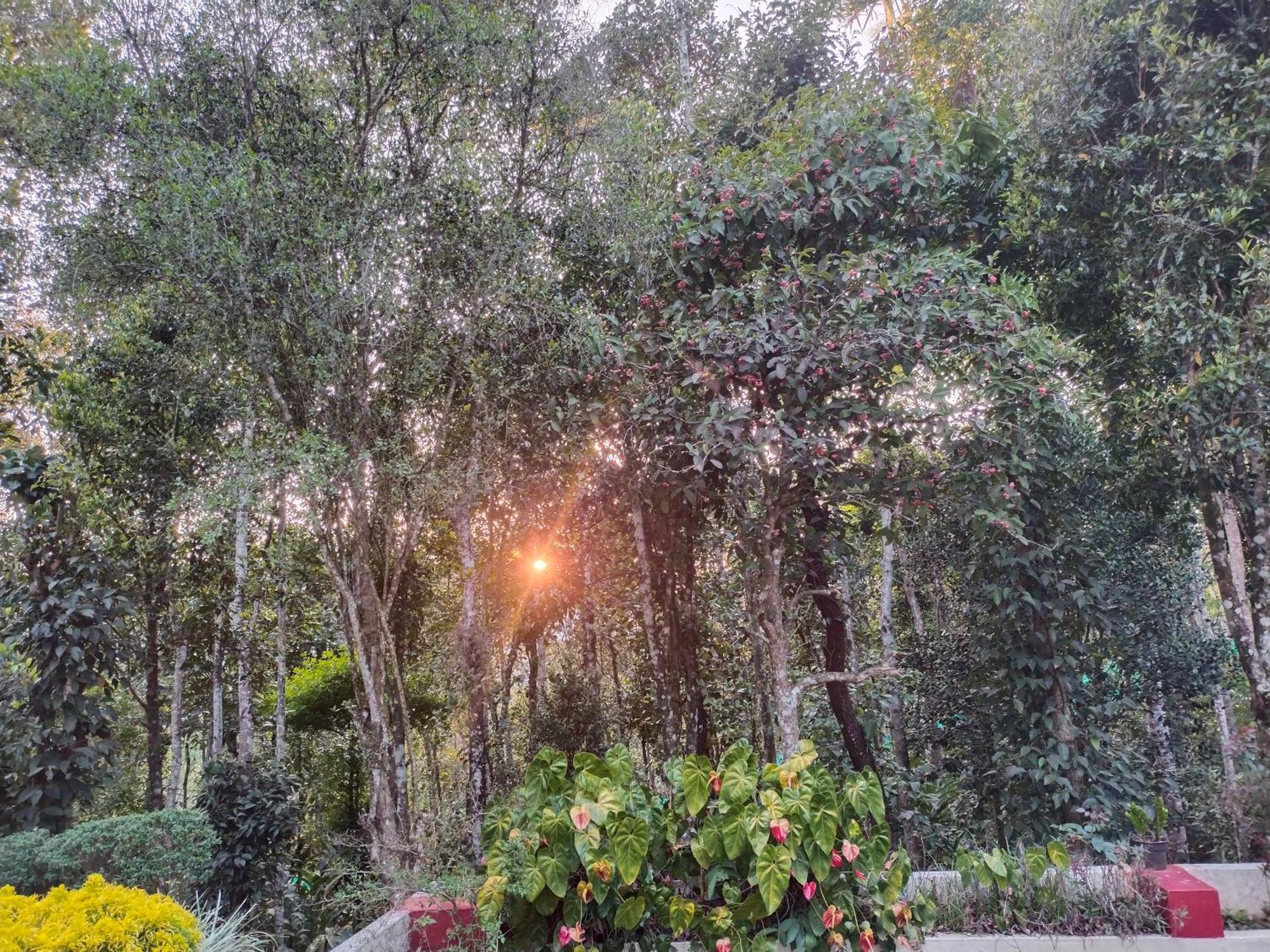 Philip Mary Farm Stay Thekkady Exteriér fotografie