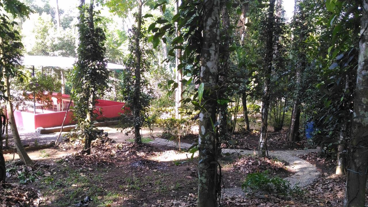 Philip Mary Farm Stay Thekkady Exteriér fotografie