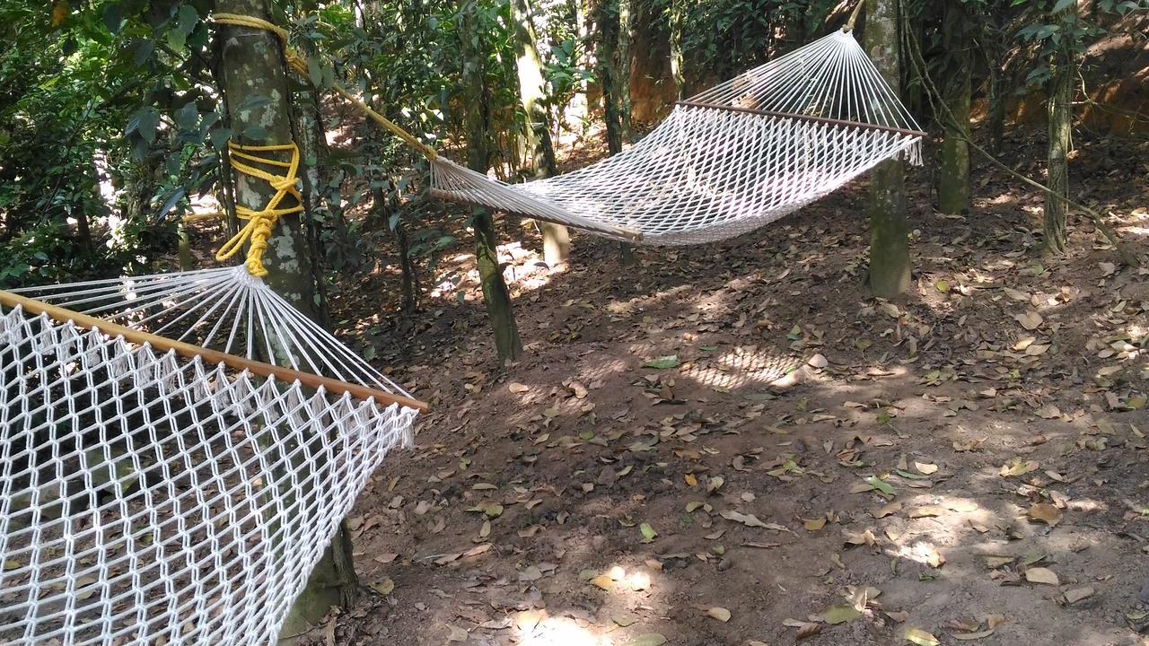 Philip Mary Farm Stay Thekkady Exteriér fotografie