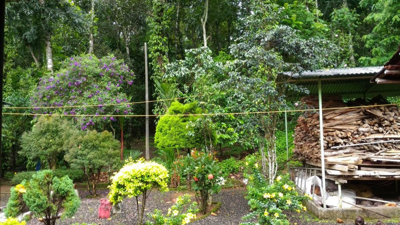 Philip Mary Farm Stay Thekkady Exteriér fotografie
