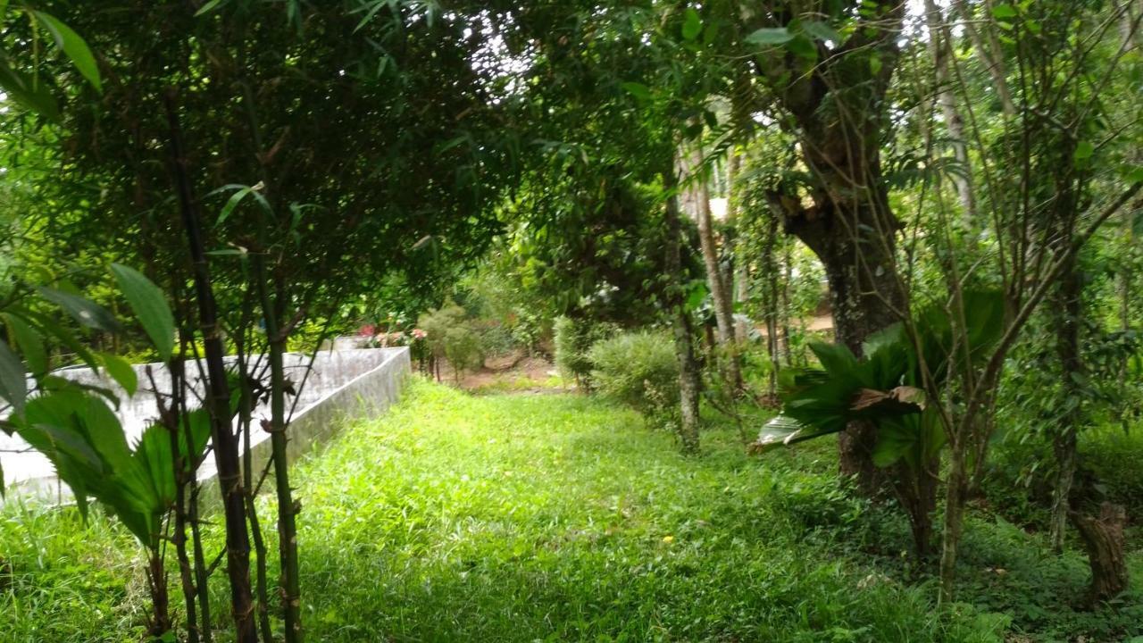 Philip Mary Farm Stay Thekkady Exteriér fotografie