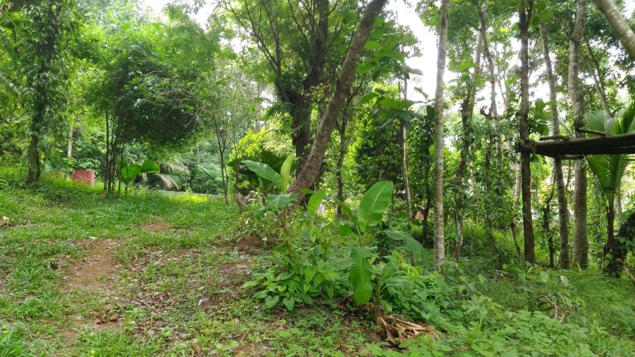 Philip Mary Farm Stay Thekkady Exteriér fotografie